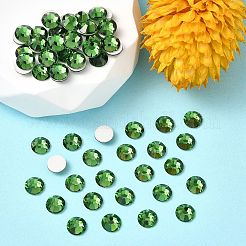 Preciosa® maxima crystal без горячей фиксации плоские камни Y-PRC-NSS16-50630