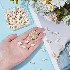 100шт 2 цвета подвески из натуральных ракушек PALLOY-WR00024