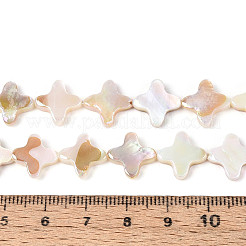 Нити бусин из натуральных пресноводных раковин с гальваническим покрытием&nbsp;SHEL-N038-28