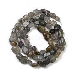 Природные лабрадорита бисер нитей G-Q060-D02