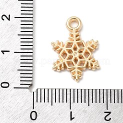 Пластмассовые подвески ccb&nbsp;CCB-I007-08KCG