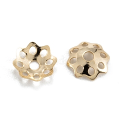 Лепестковые шарики из нескольких лепестков KK-D063-19G