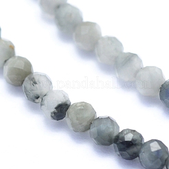 Натуральные ястребы G-I279-E14-02