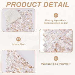 2 шт. листы кабошонов из ракушек&nbsp;AJEW-GO0002-11