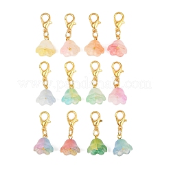 Подвесные украшения из прозрачного стекла&nbsp;HJEW-JM04146