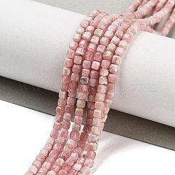 Природные родонит бисером G-H042-B20-01