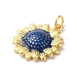 Подвески из латуни с эмалью в стойку&nbsp;KK-Z056-46G-01