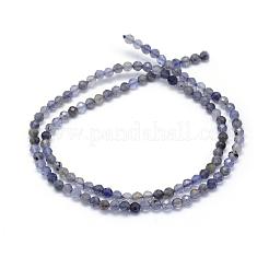 Натуральные кордиерит / иолит / дихроитовые бусины G-E411-39-3mm