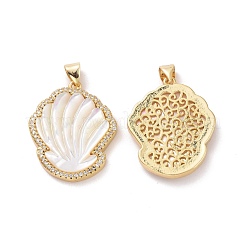 Подвески из латуни в форме раковины из прозрачного кубического циркония KK-G406-17G