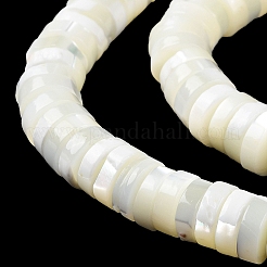 Нити бусин из натуральной ракушки трохус BSHE-E030-04