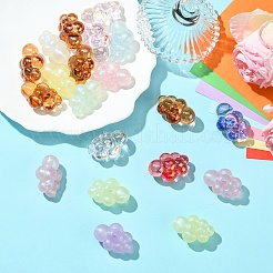 20шт 2 стиля акриловые бусины&nbsp;PACR-YW0001-28