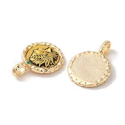 Латунные подвески&nbsp;KK-S368-15G