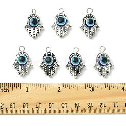 10 шт. подвески из смолы и сплава от сглаза&nbsp;PALLOY-FS00058-03