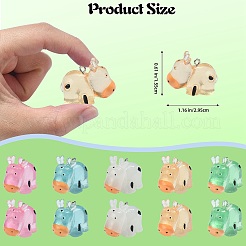 30шт 5 цвета подвески из светящейся смолы&nbsp;RESI-SZ0003-24