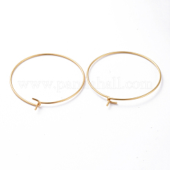 Фурнитура для сережек-колец из нержавеющей стали 316 STAS-J025-01D-G