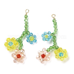 Подвески из стеклянных бусин&nbsp;GLAA-C028-05B