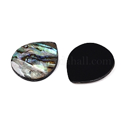 Кабошоны в форме слезы из натуральной ракушки пауа SSHEL-T017-10