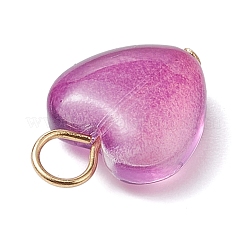 50шт 5 цвета стеклянные подвески&nbsp;PALLOY-JF02907