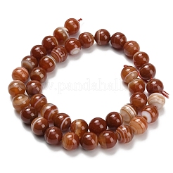 Натуральные полосатые агатовые бусы&nbsp;G-L642-B04-10mm