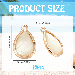 16 шт. подвески в форме слезы из натуральной ракушки пауа и латуни FIND-PH0022-59