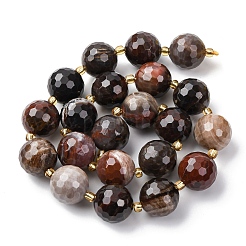 Природные окаменелое дерево бисер пряди G-C249-A24-16MM