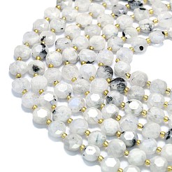 Бусины из натурального радужного лунного камня G-C116-A112-01