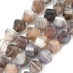 Природные Ботсвана агат бисер нитей&nbsp;G-C267-B09