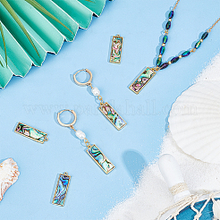 8 шт. подвески из натуральной ракушки пауа KK-BC0013-44