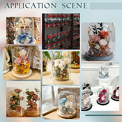 Стеклянный купол AJEW-WH0471-49A