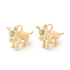 Латунь подвески&nbsp;KK-G447-13G