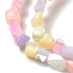 Нити бусин из натуральных пресноводных ракушек&nbsp;SHEL-G018-02E