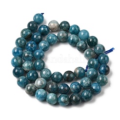 Природного апатита нитей бисера&nbsp;G-F674-04-8mm