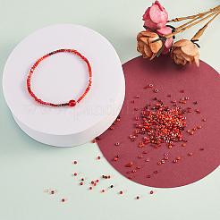 480 г 24 цвета 12/0 круглые бусины из непрозрачного стекла SEED-CJ0001-10