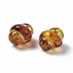 Акриловые бусины с золотым металлическим обрамлением OACR-H019-10