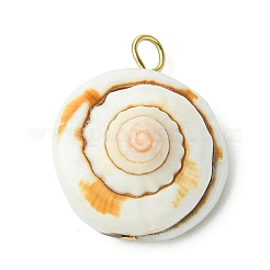 2 шт. 2-х цветные подвески в виде ракушки глаза Шивы из натурального и синтетического материала PALLOY-JF03383