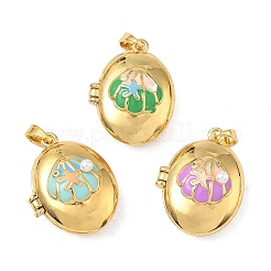 Латунь эмаль Locket подвески KK-F923-02D-G