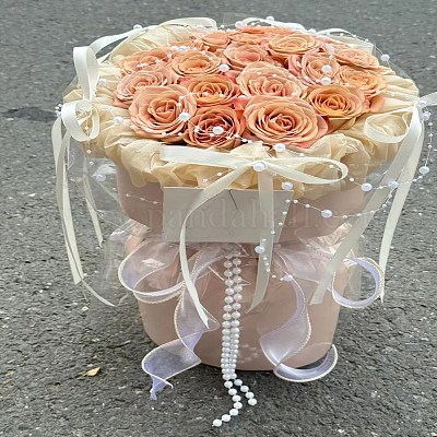 Лента из полиэстера длиной 5 м OCOR-LP0003-66-1