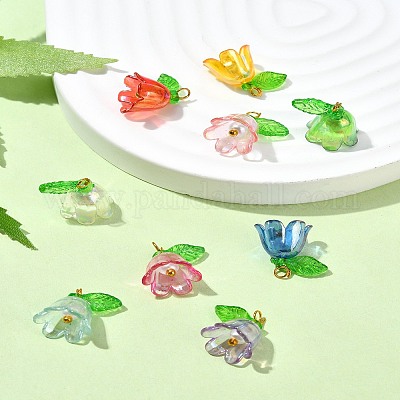 Акриловые кулон PALLOY-YW027-01-1