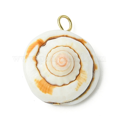 2 шт. 2-х цветные подвески в виде ракушки глаза Шивы из натурального и синтетического материала PALLOY-JF03383-1