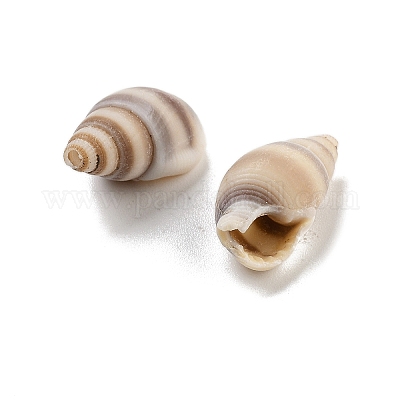 Натуральные спиральные бусы из ракушек BSHE-G038-06B-1