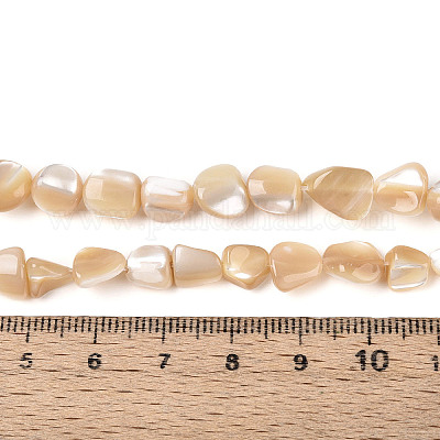 Нити бусин из натуральных трохоидных/трохус ракушек BSHE-T014-23-1