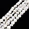 Natural Trochid Shell/Trochus Shell Beads Strands, Bleach, Nuggets, Creamy White, 7~12x5~10x4~8mm, Hole: 1mm, about 60~64pcs/strand, 15.16 inch~15.75 inch(38.5~40cm)