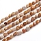 Natural Fossil Coral Beads Strands, Tumbled Stone, Nuggets, 6.5~9.5x5.5~7.5x3.5~5.5mm, Hole: 0.8mm, about 50pcs/Strand, 15.67 inch(39.8cm)