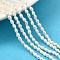 Natural Cultured Freshwater Pearl Beads Strands, Rice, Grade A+, Old Lace, 2~3mm, Hole: 0.6mm, about 86~87pcs/strand, 13.58''~13.78''(34.5~35cm)