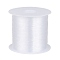 1 Roll Transparent Fishing Thread Nylon Wire, Fishing Line, Clear, 0.25mm, about 109.36 yards(100m)/roll