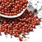 Picasso Baking Paint Glass Seed Beads, Bicone, Coral, 4.5x4mm, Hole: 1.1mm, about 142pcs/10g