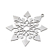 Рождество 201 подвески из нержавеющей стали STAS-C156-01W-P-2