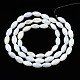 Нити бусин из натуральных пресноводных ракушек&nbsp;SHEL-Q024-021-2