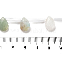 Натуральный цветок амазонитовые бусины пряди G-Q167-A10-01