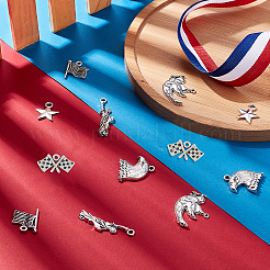 60 шт. 6 подвески из цинкового сплава в тибетском стиле на тему Дня независимости&nbsp;TIBEP-SC0002-05